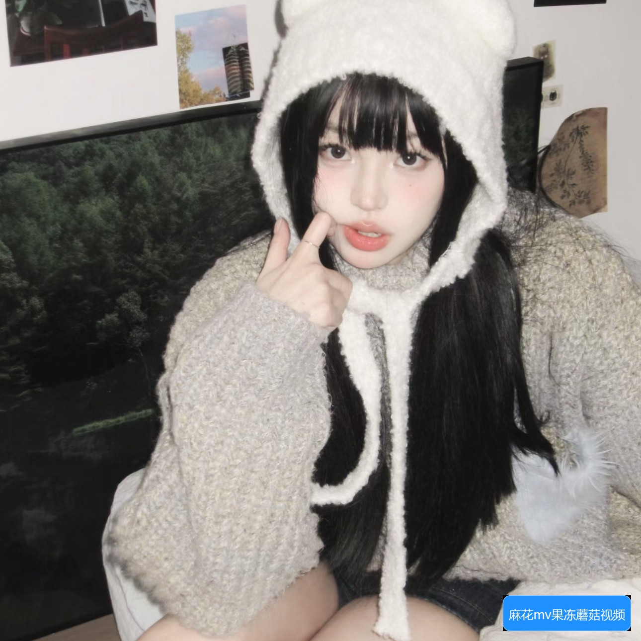 麻花MV、果冻MV、梦幻MV和蘑菇MV有什么不同之处和特色解析